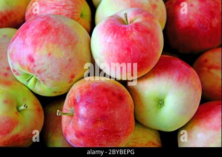 Groupe de pommes rouges avec leurs feuilles Banque D'Images