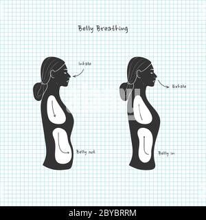 Respiration du ventre. Vecteur. Illustration de Vecteur