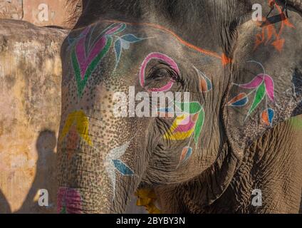 Éléphant coloré de Jaipur, Rajasthan, Inde Banque D'Images