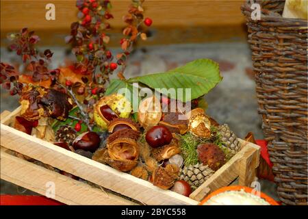 Automne coloré Banque D'Images