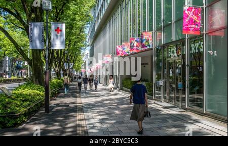 Foule de piétons au trottoir de la rue Omotesando, Tokyo, Japon Banque D'Images