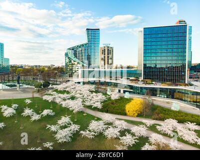 Belle vue aérienne du parc en fleurs de sakura dans le centre-ville de Vilnius. Jardin de cerisier de Sugihara fleuri le matin ensoleillé d'avril. Printemps dans Vil Banque D'Images