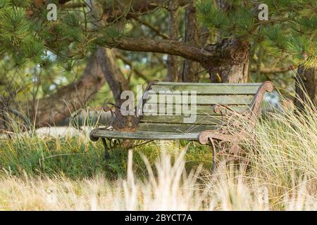 Vieux banc en acier dans la nature néerlandaise Banque D'Images