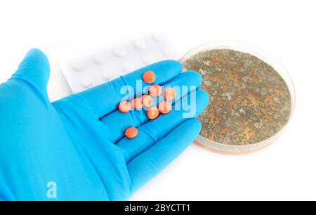 pilules d'orange sur le bras dans les gants et les champignons Banque D'Images