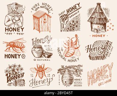 Ensemble miel et abeilles. Homme de gardien d'abeilles et rayons de miel et ruche et apiaire. Logo vintage pour la typographie, la boutique ou les enseignes. Badge pour tee-shirts. Dessiné à la main Illustration de Vecteur