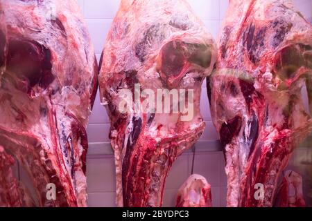 Beaucoup de viande crue pendent et arrangent dans une rangée dans une usine de viande ou dans un réfrigérateur restarant Banque D'Images