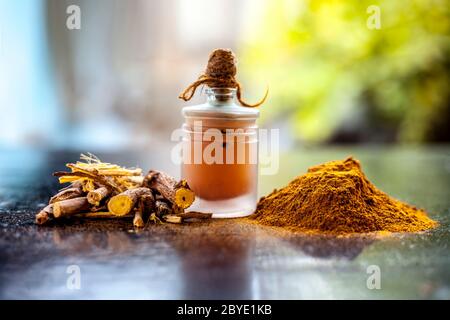Prise de Rheum emodi ou Revand Chini avec son huile et sa poudre brute sur une surface noire brillante. Banque D'Images