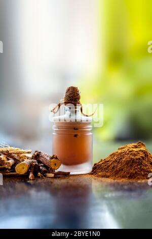 Prise de Rheum emodi ou Revand Chini avec son huile et sa poudre brute sur une surface noire brillante. Banque D'Images