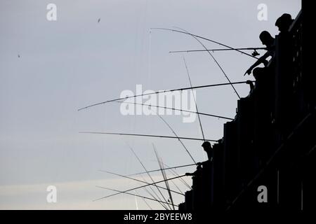 Pékin, Turquie. 9 juin 2020. Les gens pêchent sur le pont de Galata à Istanbul, en Turquie, le 9 juin 2020. Le vieux pont au coeur historique de la plus grande ville de Turquie Istanbul mardi est rempli de pêcheurs, soulevant des inquiétudes du gouvernement turc et des autorités locales sur la propagation de la COVID-19. Après que le gouvernement ait assoupli les restrictions de la COVID-19 la semaine dernière, plus de 500 pêcheurs chaque jour se sont enfermés dans le pont de Galata, un site de pêche hotspot dans la partie européenne de la ville, enjambant la Corne d'Or. Crédit : Osman Orsal/Xinhua/Alay Live News Banque D'Images