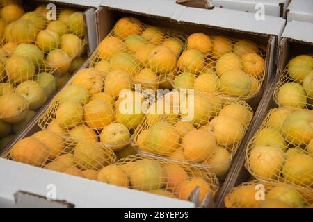 Boîtes de pruniers Mirabelle (Prunus domestica subsp. Syriaca), présentées pour la vente au marché de Mahane Yehuda, Jérusalem, Israël Banque D'Images