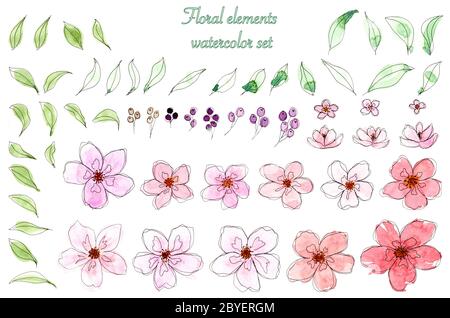 Ensemble de motifs aquarelles représentant une jolie rose et des feuilles peintes à la main. Fleur colorée, pour mariage, affiche, carte de vœux, carte d'invitation, dessin animé ele Banque D'Images