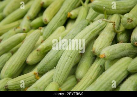 Une pile de concombre arménien frais (Cucumis melo var. Flexuosus) en vente sur le marché de Mahane Yehuda, Jérusalem, Israël Banque D'Images