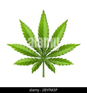 Icône de mauvaises herbes de feuilles de marijuana ou de feuilles de cannabis isolée sur fond blanc Illustration de Vecteur