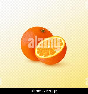 Demi-coupe réaliste et orange entier. Illustration de Vecteur