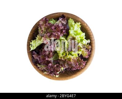 Jeunes feuilles de laitue dans un bol en bois. Vue de dessus. Laitue isolée sur fond blanc. Laitue violette avec espace de copie pour le texte. Banque D'Images