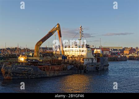 Le navire de dragage de Shearwater a amarré dans le port d'Arbroath sur le point de commencer ses opérations avec sa grue. Banque D'Images