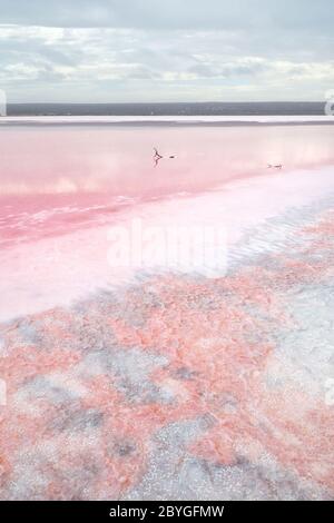 La couleur rose étonnante et magique de Hutt Lagoon, près de Port Gregoru et Kalbarri, lors d'un voyage en Australie occidentale Banque D'Images