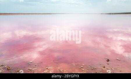 La couleur rose étonnante et magique de Hutt Lagoon, près de Port Gregoru et Kalbarri, lors d'un voyage en Australie occidentale Banque D'Images