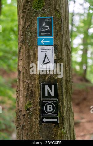 Panneaux de randonnée dans la forêt le long de la rivière Wupper, près de Solingen, Bergisches Land, NRW, Allemagne Banque D'Images