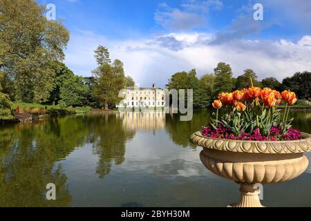 Les jardins de Kew peuvent rouvrir à partir du 3 juin 2020, jardins botaniques royaux le monde des plantes et des champignons ouverts pendant la pandémie de virus corona doit être réservé en ligne car les visiteurs doivent être surveillés avec des créneaux horaires d'entrée préréservés pour la première fois dans l'histoire. Pour des raisons de sécurité, tous les bâtiments et structures resteront fermés , Y compris les serres, les restaurants et les galeries et le train Kew. Quelques options de nourriture et toilettes extérieures resteront ouvertes ... Banque D'Images