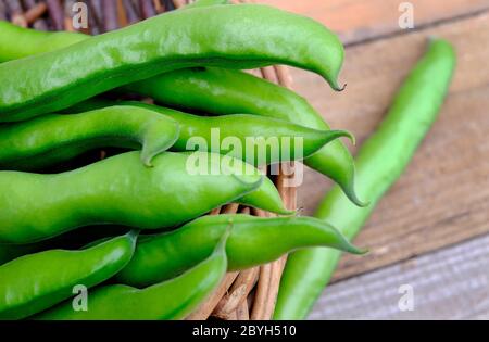 haricots verts en panier en osier, norfolk, angleterre Banque D'Images