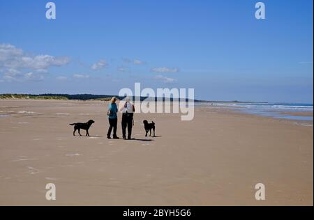 marcheurs de chiens sur la plage de holkham, au nord de norfolk, en angleterre Banque D'Images