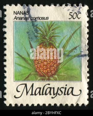 MALAISIE - VERS 1986 : ananas sur un palmier, vers 1986. Banque D'Images