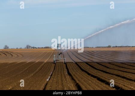 Irrigation d'un champ agricole pendant la pandémie de corona. Les agriculteurs travaillent dur pour maintenir les lignes d'approvisionnement alimentaire mondiales ouvertes Banque D'Images