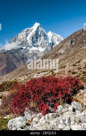 Népal. Island Peak Trek. En regardant vers le bas la vallée de l'Imja Khola en direction du village de Dingboche avec le pic formidable de Taboche au loin Banque D'Images