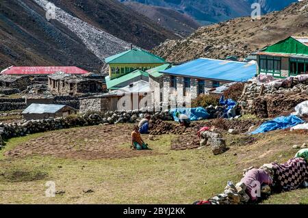 Népal. Island Peak Trek. Vue sur l'une des enceintes de champ murées vers Dingboche Village Banque D'Images