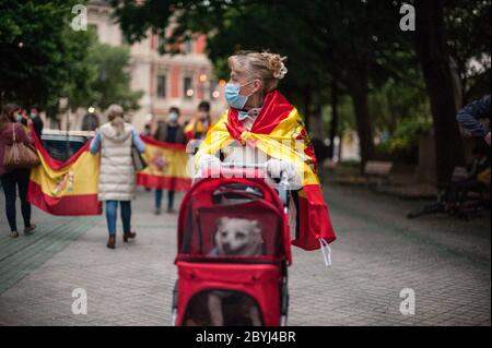 Pampelune, Espagne. 09e juin 2020. Une femme portant un masque et portant un drapeau est vue marcher dans les rues avec son chien de compagnie dans une poussette pendant une manifestation à Pampelune.manifestation tenue à Pampelune, dans le nord de l'Espagne, contre la gestion effectuée par le gouvernement espagnol pendant la pandémie COVID-19. Crédit : SOPA Images Limited/Alamy Live News Banque D'Images