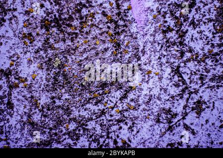 Fond violet abstrait texture naturelle Banque D'Images