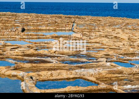 Production de sel de mer de Gozo à Żebbuġ, Malte Banque D'Images