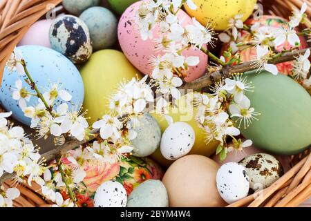 Panier avec œufs de Pâques et branche de cerisiers en fleurs. Décoration de fête Banque D'Images