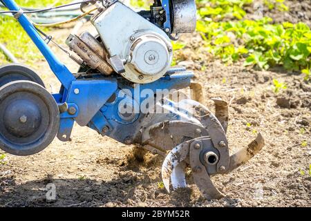 Motoculteurs cultivateur pour le travail du sol. Jardinage. Mise au point sélective Banque D'Images