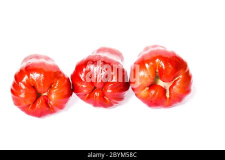 fruits rouges, pommes de rose ou chompoo isolés dans une assiette sur fond blanc Banque D'Images
