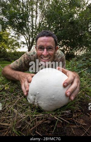 Giant Puffball; Calvatia gigantea; Man Holding champignon; Royaume-Uni Banque D'Images