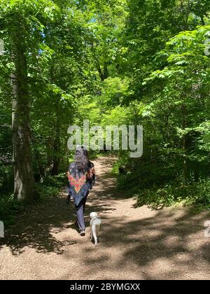 Une femme marche son chien seul le long d'un sentier dans Prospect Park à Brooklyn New York, lors d'une journée de printemps. Banque D'Images