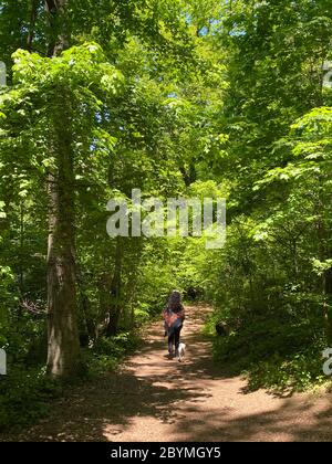 Une femme marche son chien seul le long d'un sentier dans Prospect Park à Brooklyn New York, lors d'une journée de printemps. Banque D'Images