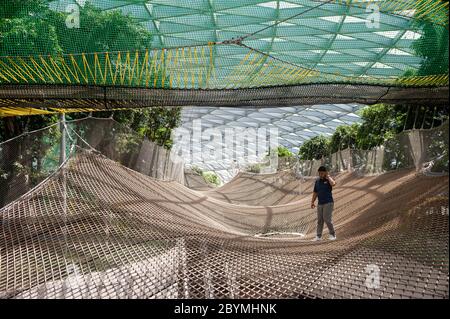 28.03.2020, Singapour, , Singapour - UN homme marche au-dessus des filets de randonnée dans le parc Canopy du nouveau terminal Jewel de l'aéroport Changi. 0 S. Banque D'Images