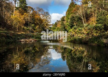 Trebah Garden ; Lac en automne ; Cornouailles ; Royaume-Uni Banque D'Images