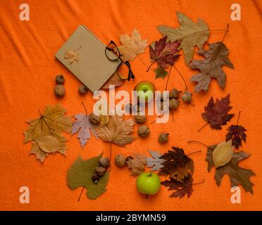 Un bouquet de feuilles jaune-dorées, des pommes vertes et un livre sur le plancher orange. Grandes réductions pour tous les vêtements d'automne pour hommes, femmes et enfants. Solde f Banque D'Images