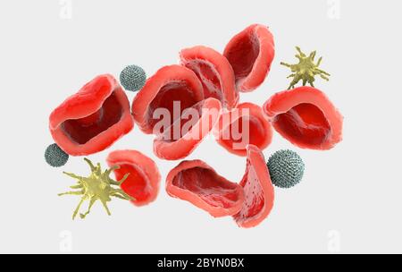 3d illustration d'observé rouge, appelé les érythrocytes, les cellules de sang blanches, appelées leucocytes et plaquettes, appelées thrombocytes dans l'huma Banque D'Images