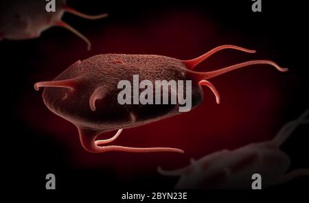 3d illustration d'un plaquettes activées, également appelé thrombocytes responsable de la fermeture des plaies et de guérison Banque D'Images