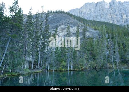 Sentier des lacs Grassi, au crépuscule, Canmore, Canada Banque D'Images