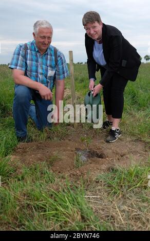 10 juin 2020, Saxe-Anhalt, Prosigk: Claudia Dalbert (Verts), ministre de l'Environnement de Saxe-Anhalt, et l'agriculteur Eicke Zschoche, plantant un noyer dans un champ. La campagne portait sur la promotion de la culture des arbres de campagne, dans laquelle des bandes d'arbres et d'arbustes sont utilisés pour promouvoir la biodiversité et l'amélioration des sols. Photo: Sebastian Willnow/dpa-Zentralbild/ZB Banque D'Images