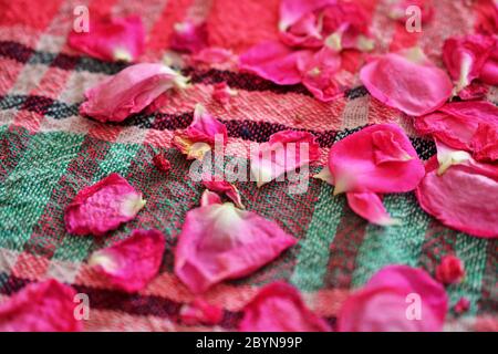 pétales de rose séchant sur une nappe. Banque D'Images