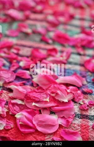 pétales de rose séchant sur une nappe. Banque D'Images