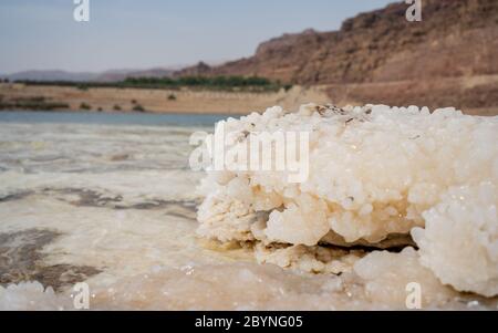 Cristaux de sel naturel à la mer Morte - le point le plus bas sur terre. Paysage naturel pur Banque D'Images