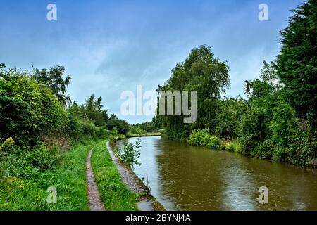 Jour de pluie à Cheshire avec le canal Trent et Mersey, près de Sandbach Royaume-Uni Banque D'Images